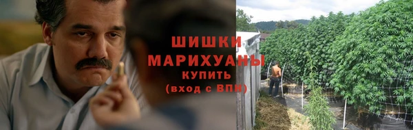 mdma Новозыбков