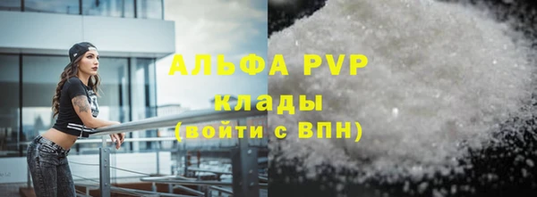 индика Нефтекумск