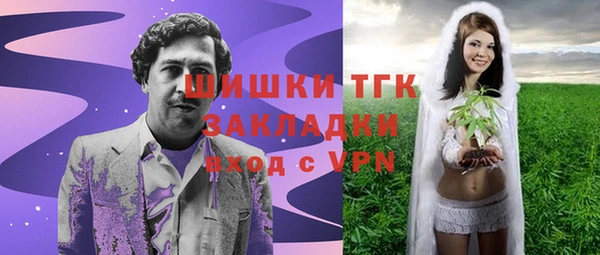 индика Нефтекумск