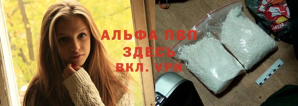 индика Новочеркасск