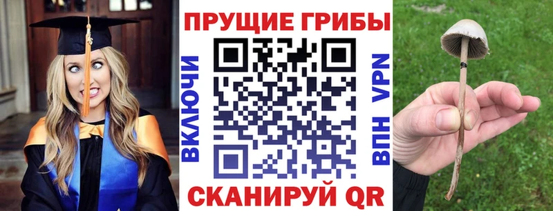 Купить закладки  Кировск  Псилоцибиновые грибы прущие грибы 