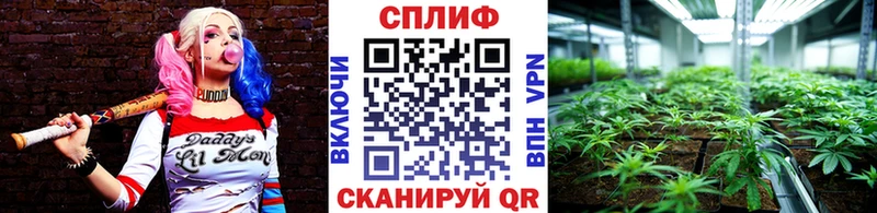 Купить  Кировск  Бошки Шишки сатива 
